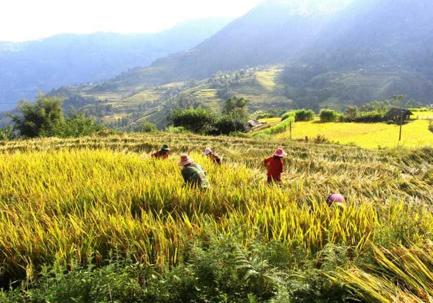 Trekking-a-Ha-Giang