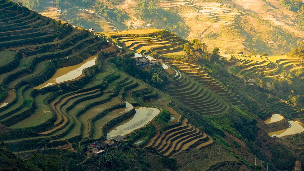 hoang-su-phi