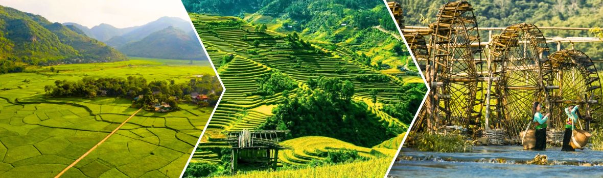 Da sinistra a destra sono Campi a Mai Chau, Campi terrazzati a Pu Luong, Mulini ad acqua a Pu Luong
