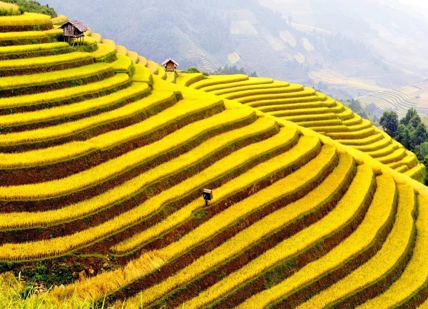 ha-giang