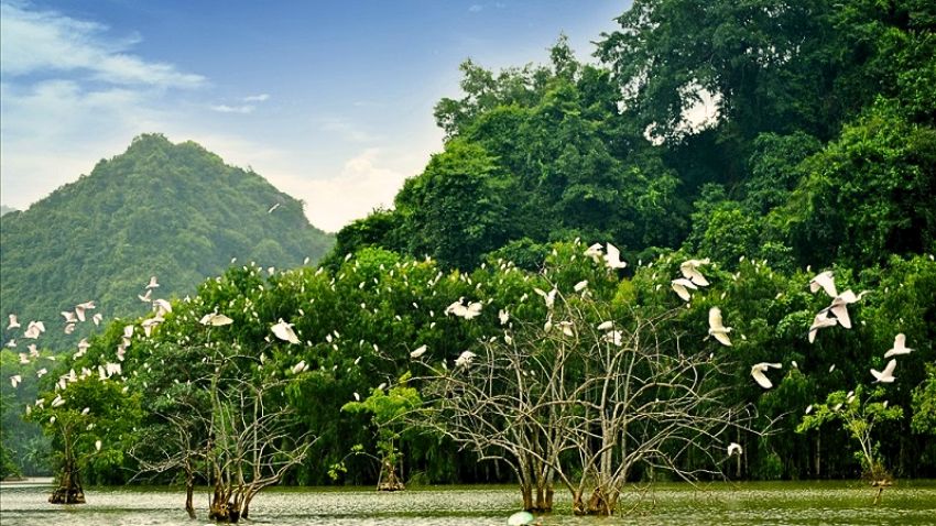 parco-uccelli-thung-nam