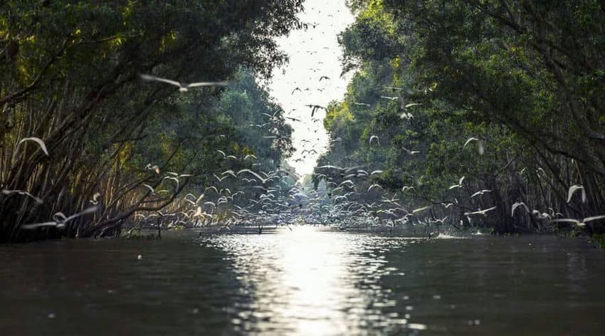 parco-tam-nong