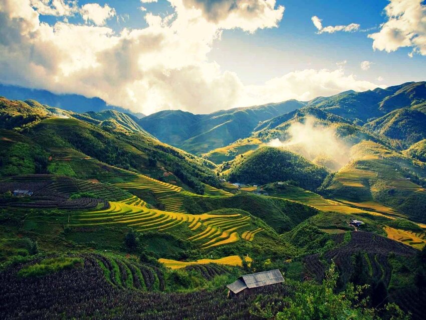 sapa